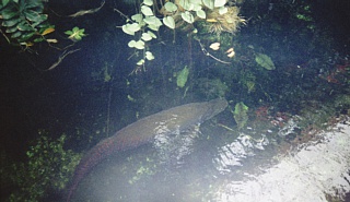 &nbsp;Select this image to see a larger version. 