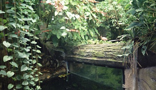 &nbsp;Select this image to see a larger version. 