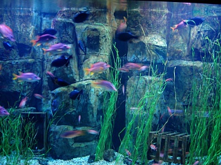 &nbsp;Select this image to see a larger version. 