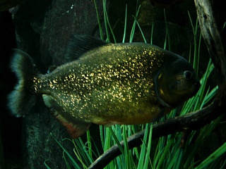 &nbsp;Select this image to see a larger version. 