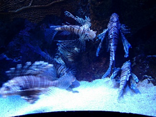 &nbsp;Select this image to see a larger version. 