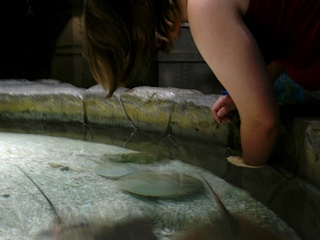 &nbsp;Select this image to see a larger version. 