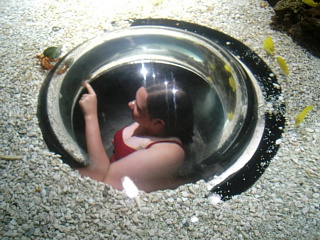 &nbsp;Select this image to see a larger version. 