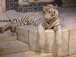 &nbsp;Select this image to see a larger version. 