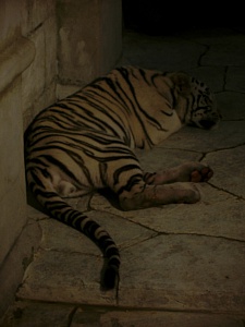 &nbsp;Select this image to see a larger version. 