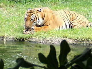 &nbsp;Select this image to see a larger version. 