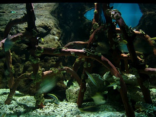 &nbsp;Select this image to see a larger version. 