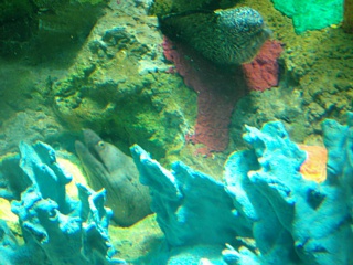 &nbsp;Select this image to see a larger version. 