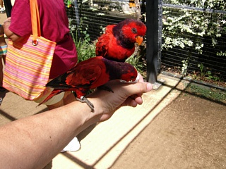 &nbsp;Select this image to see a larger version. 