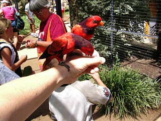 &nbsp;Select this image to see a larger version. 