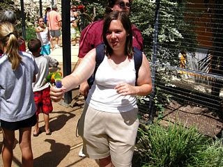 &nbsp;Select this image to see a larger version. 