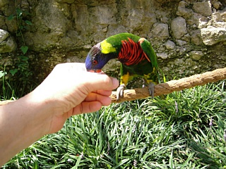 &nbsp;Select this image to see a larger version. 