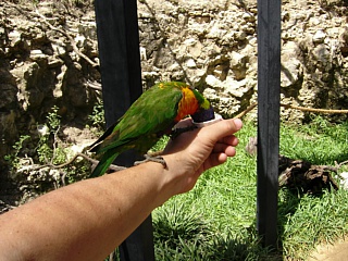 &nbsp;Select this image to see a larger version. 