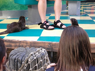 &nbsp;Select this image to see a larger version. 