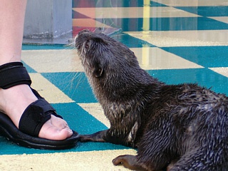 &nbsp;Select this image to see a larger version. 