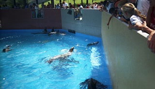 &nbsp;Select this image to see a larger version. 