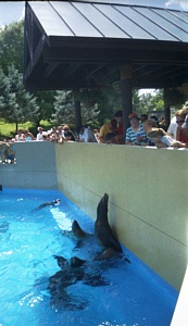 &nbsp;Select this image to see a larger version. 