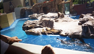 &nbsp;Select this image to see a larger version. 