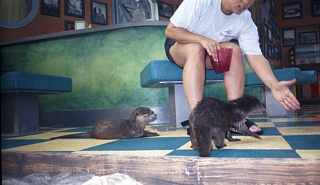 &nbsp;Select this image to see a larger version. 