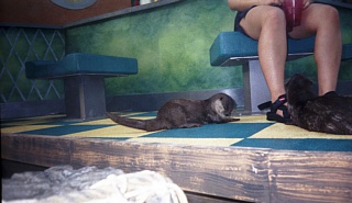 &nbsp;Select this image to see a larger version. 