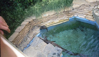 &nbsp;Select this image to see a larger version. 