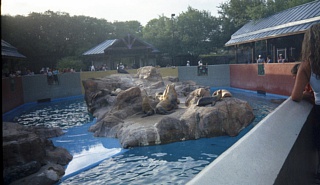 &nbsp;Select this image to see a larger version. 