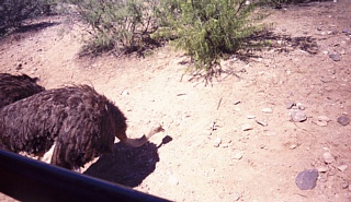 &nbsp;Select this image to see a larger version. 