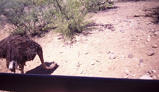 &nbsp;Select this image to see a larger version. 