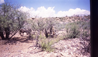 &nbsp;Select this image to see a larger version. 