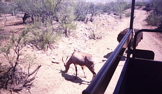 &nbsp;Select this image to see a larger version. 