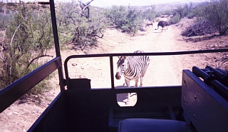 &nbsp;Select this image to see a larger version. 