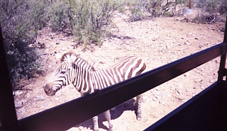 &nbsp;Select this image to see a larger version. 