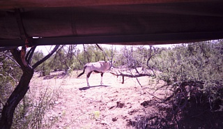 &nbsp;Select this image to see a larger version. 