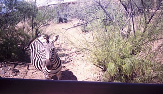 &nbsp;Select this image to see a larger version. 