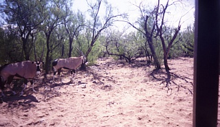 &nbsp;Select this image to see a larger version. 