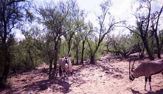 &nbsp;Select this image to see a larger version. 