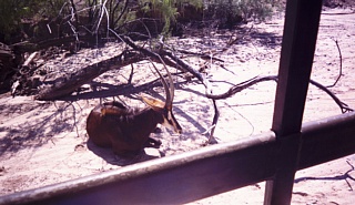 &nbsp;Select this image to see a larger version. 