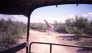 &nbsp;Select this image to see a larger version. 