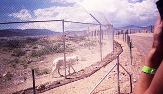 &nbsp;Select this image to see a larger version. 