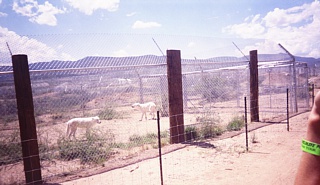 &nbsp;Select this image to see a larger version. 