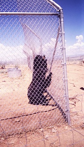 &nbsp;Select this image to see a larger version. 