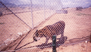 &nbsp;Select this image to see a larger version. 