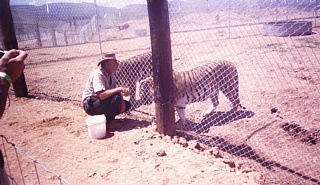 &nbsp;Select this image to see a larger version. 