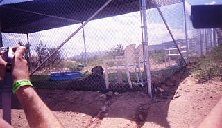 &nbsp;Select this image to see a larger version. 