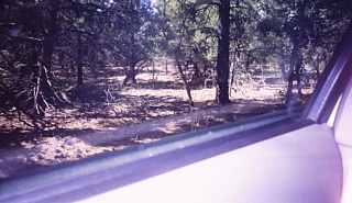 &nbsp;Select this image to see a larger version. 