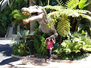 &nbsp;Select this image to see a larger version. 