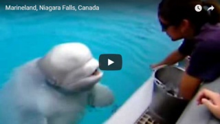 &nbsp;Select this image to see a larger version. 