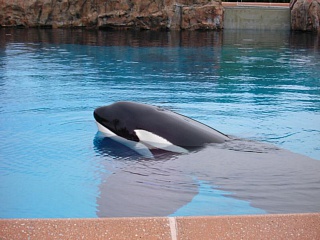 &nbsp;Select this image to see a larger version. 