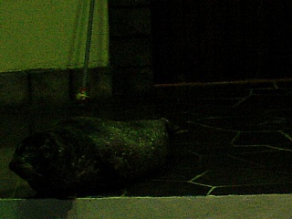 &nbsp;Select this image to see a larger version. 