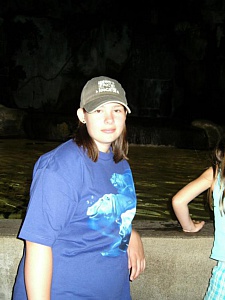 &nbsp;Select this image to see a larger version. 